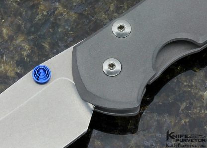 Chris Reeve Large Sebenza 21 Insingo