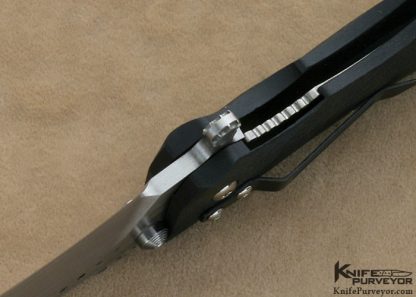 Darrel Ralph Custom Knives Maxx Q MI A Flipper #06 - Image 7